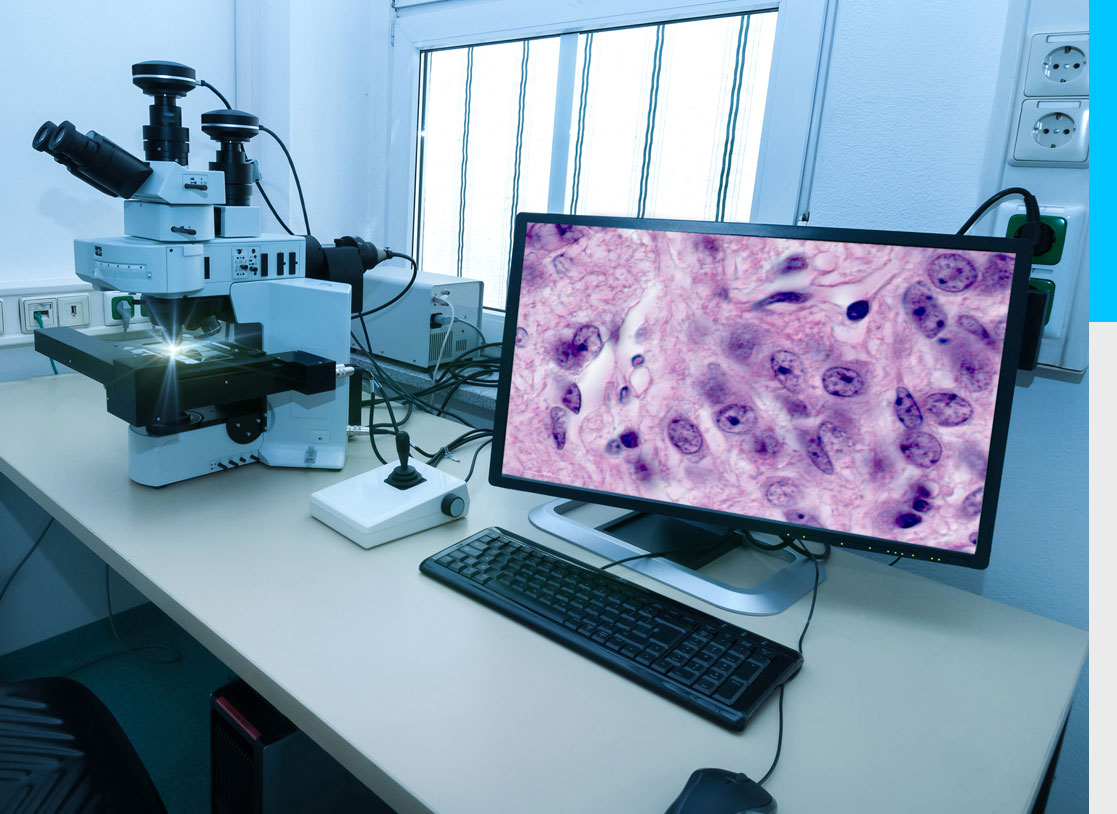 Pathology Ipsum Diagnostics